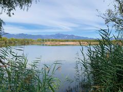 -野鸭湖国家湿地公园