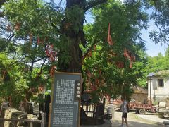 -水峪民俗村