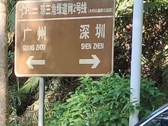 -东莞市大岭山森林公园