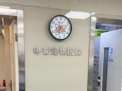 -申普宠物医院·心脏介入·心血管微创(总院)