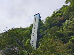 -碧峰峡风景区