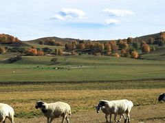 -塞罕坝国家级自然保护区