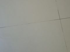 -巢爷老味(东方红店)