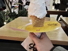 -野人先生Gelato(上海长宁龙之梦店)
