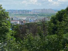 -翠屏公园