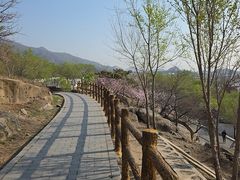 -白水寺森林公园