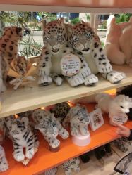 -IMON·HANSA潮玩玩偶毛绒玩具(通州万象汇店)