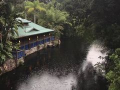 -奥兰多迪士尼动物王国乐园