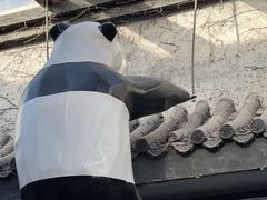 -小街47號江湖菜(四合院店)