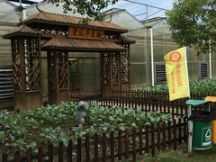 -上海都市菜园