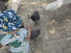 -武汉紫薇都市田园