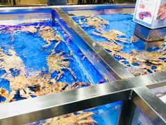 -盒马鲜生(顺义店)