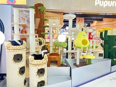 -帕帕拉兹宠物(亚洲旗舰店)