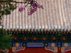 -北京国子监胡同