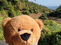 -济州岛泰迪熊博物馆