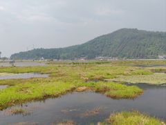 -腾冲北海湿地