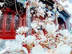 -天津大悲禅院