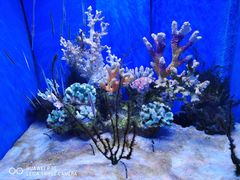 -多彩贵州城极地海洋世界