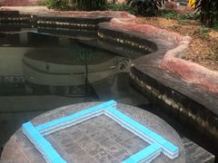 -青岛海泉湾度假区温泉