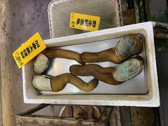 -寻味顺德·南记酒家·传统顺德菜·鱼生(广源路店)