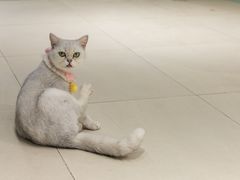 -怪兽屋·羊驼·猫咖·狗咖(俊华广场店)