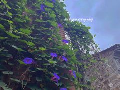 -花·fleur古董西餐厅(西城夜未央店)