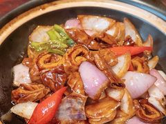 砂锅肥肠-花园茶楼(兴城西路店)