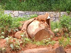 -云南野生动物园
