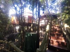 -三亚亚龙湾人间天堂鸟巢度假村