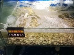 -雅逸居海鲜小厨