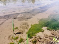 -潇河湿地公园