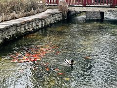 -水磨沟公园