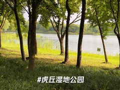 -虎丘湿地公园