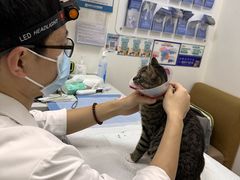 -美联众合动物医院·24h转诊中心