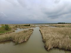 -盐城丹顶鹤湿地生态旅游区