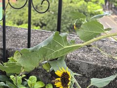 -希岸·轻雅酒店(广州白鹅潭艺术中心花地湾地铁站店)