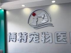 -博特宠物医院24h犬猫全科.骨科·异宠
