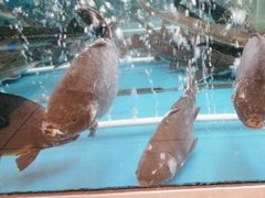-崔记生活·铁锅炖鱼粘卷子(总店)