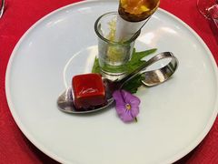 -诺莱仕游艇会