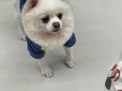 -怪兽屋·羊驼·猫咖·狗咖(俊华广场店)