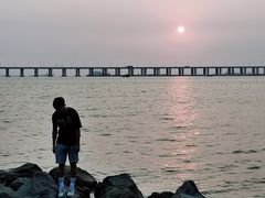 -宝安西湾红树林湿地公园