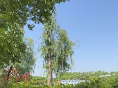 -武汉紫薇都市田园