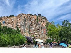 -西霞口神雕山野生动物世界