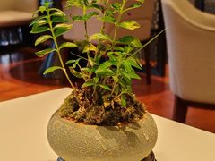 -桃源咖啡厅(武夷山大红袍山庄店)