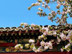-海棠花溪(元大都城垣遗址公园)