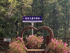 -英西峰林九重天景区