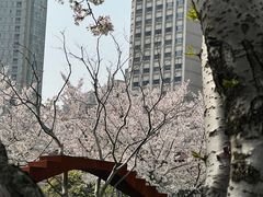 -静安雕塑公园