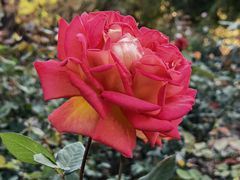 -人民公园(罗湖区)