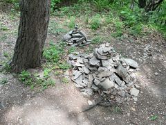 -帽儿山国家森林公园