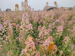 -中国天府农业博览园